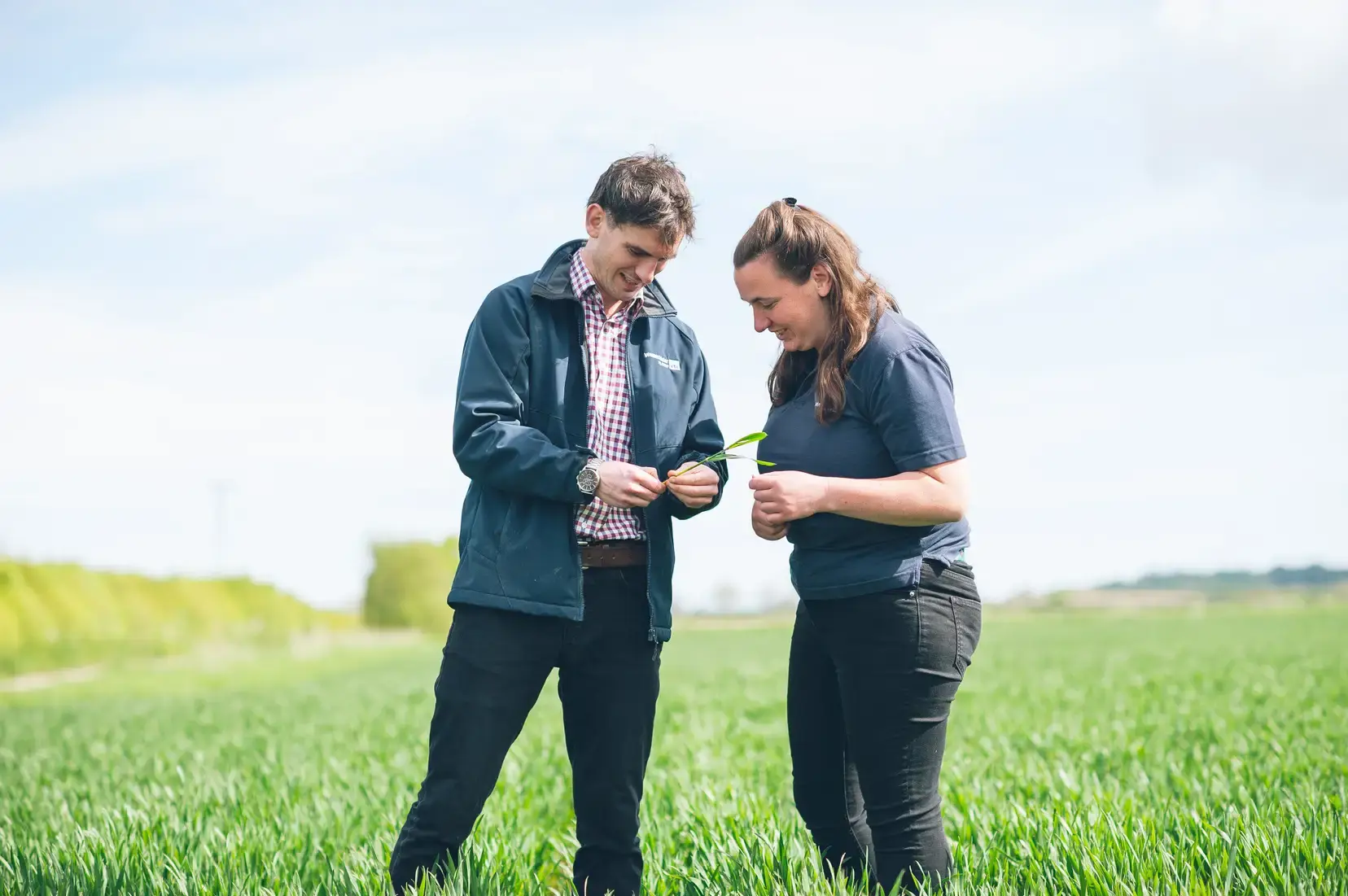 Two colleagues inspecting a field